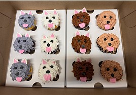 Dog Cupcakes