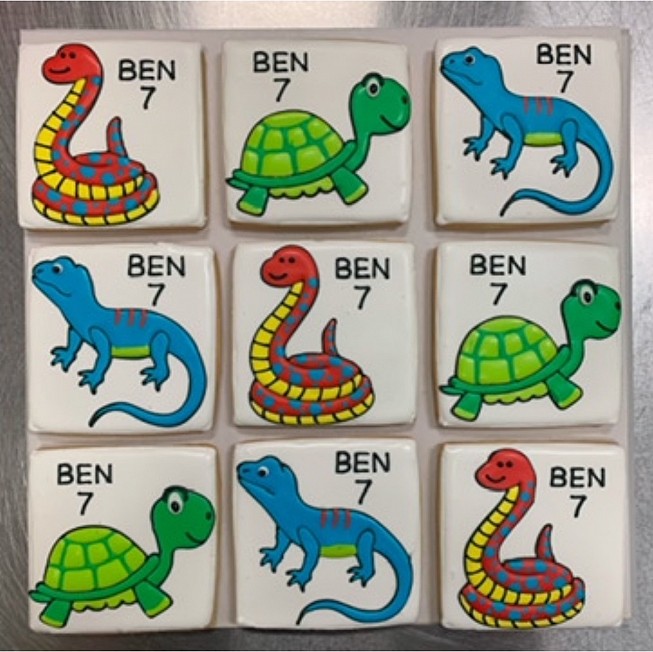 Reptile Decorated Cookies